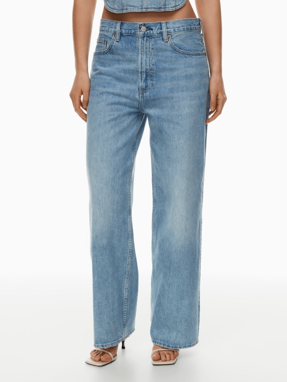 Aritzia Denim Forum The 90's Lo-Rise Baggy Jean